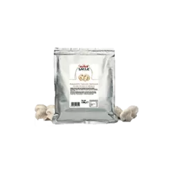 Funghi Chempignon trifolati con olio 1.7 Kg - Sacla